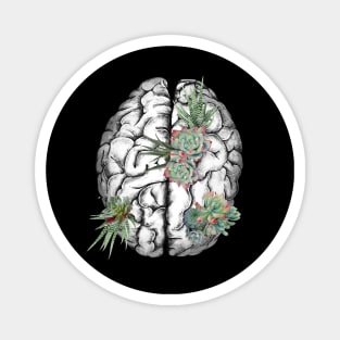 Brain human anatomy,succulents plants, mental Magnet